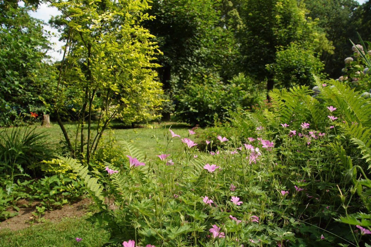 Bed & Breakfast Aan De Beek Арсен Екстер'єр фото